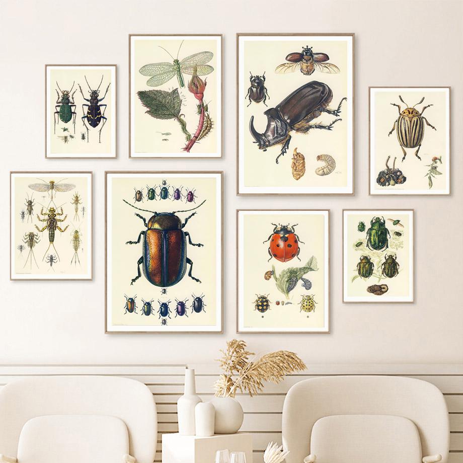 Vintage Käfer Insekt Probe Illustration Nordic Wand Kunst Leinwand Malerei Poster Und Drucke Bilder Für Wohnzimmer Dekor