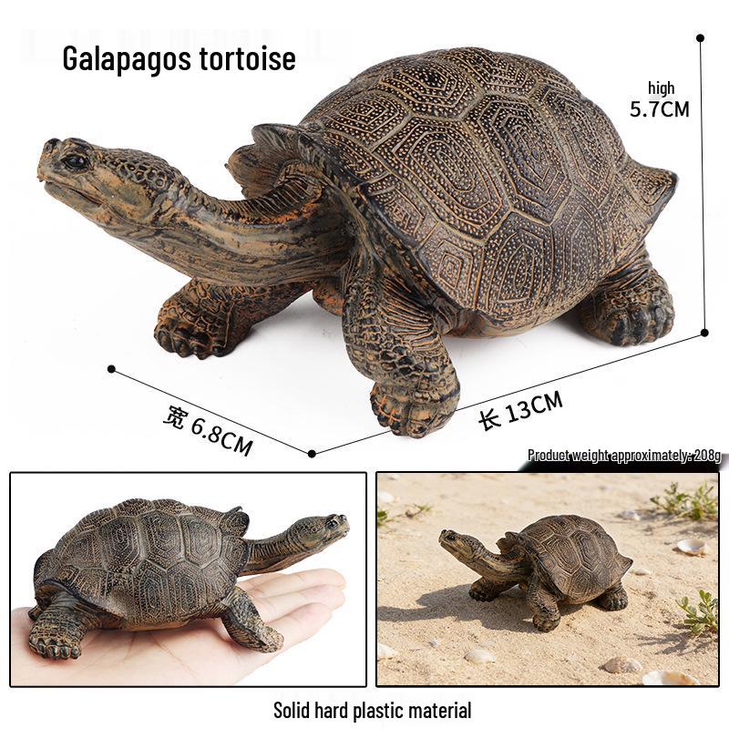 Children's Cognitive Marine Animal Models: Sea Turtle and Tortoise Toys