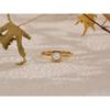 Yhpup Natürlicher Muschel Quadratischer Dünner Mode Ring 316L Edelstahl Goldfarbe Anhänger Schicker Schmuck 18K PVD Beschichtet Wasserdicht