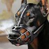 Verstellbarer Hundebeißkorb Anti-Beiß-Hunde-Maulschutz mit Reflexstreifen Kann Wasser trinken Atmungsaktiver Kunststoff