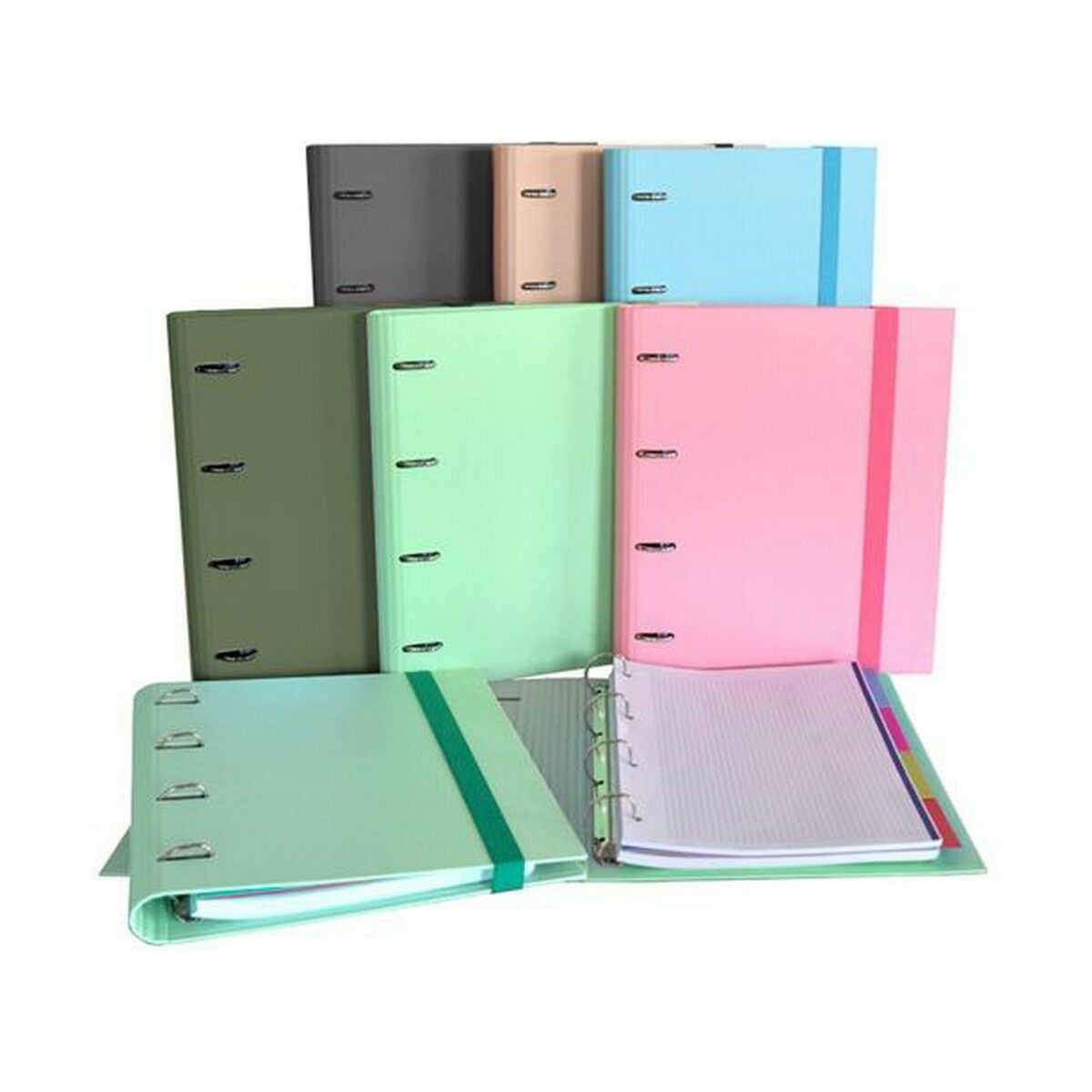 

Папка SENFORT Multicolor на кольцах формата А4.