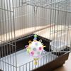 With Bell Bird Cage Toy Plastic Hanging Foraging Ball Funny Pet Bird Bites Toy  Tiger Skin