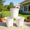 White Green Breathable Root Control Orchid & Succulent Pot with Side Hole Drainage
