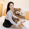 Little Bear Series Plush Toy: Teddy Bear Hugging Doll & Kids' Sleep Pillow