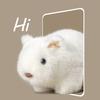 New 18cm Plush Toy Simulation Wombat Toy Practical Stuffed Simulation Wombat Toy Soft Stuffed Guinea Pig Doll