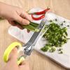 Multi-functional Five-Layer Scallion, Seaweed, Chili, Kelp, and Paper Shredding Scissors for Children's Food Preparation