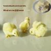 Chirping Yellow Chick Plush Toy
