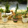 Garden Regulating Drip Irrigation Kit Automatic Watering Device 4/7mm Hose Potted Plants Watering Saving Micro Dripper