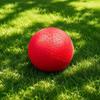 Grass Dodgeball Ball for - Outdoor Ball for Sports and Play