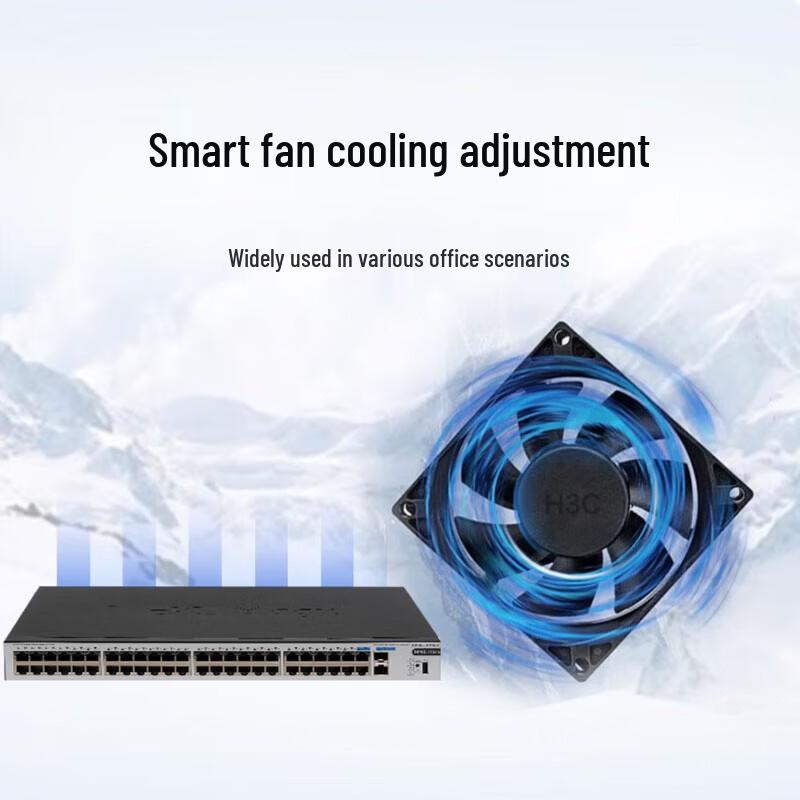H3C S1250FX 48-Port Gigabit Unmanaged Rackmount Switch with 2x 10G Uplinks