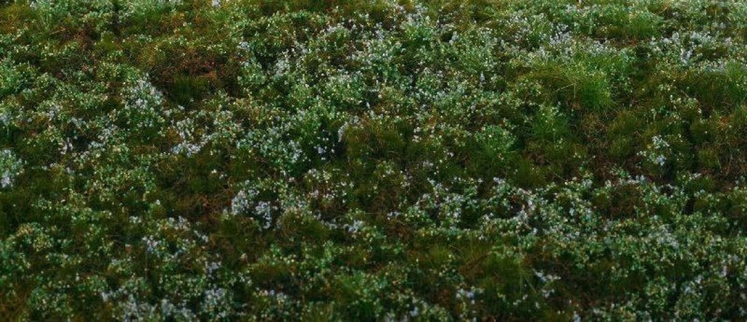 

Model Scene Лесная основа Черника Мини-пак 13см х 17см Материалы для хобби F620-S (Диорама)