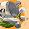 Pet Big Inflatable Ball Dog Training Toy with Air Pump Interactive Games Outdoor Portable Collie Dog Toy Ball