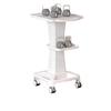 Double-Layer Beauty Trolley: Salon Storage Rack for Nail Art, Dental, and Physiotherapy Tools