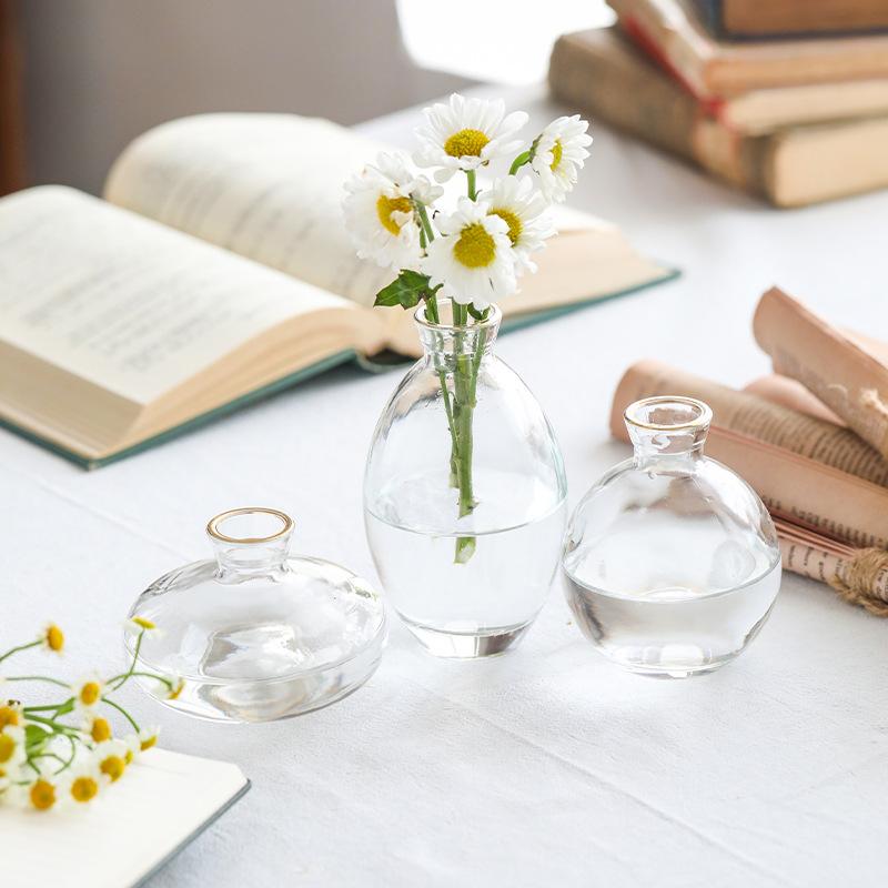 Classic Creative Vase Top Quality Glass Transparent Hydroponic Vase Living Room Flower Vase Home Decoration