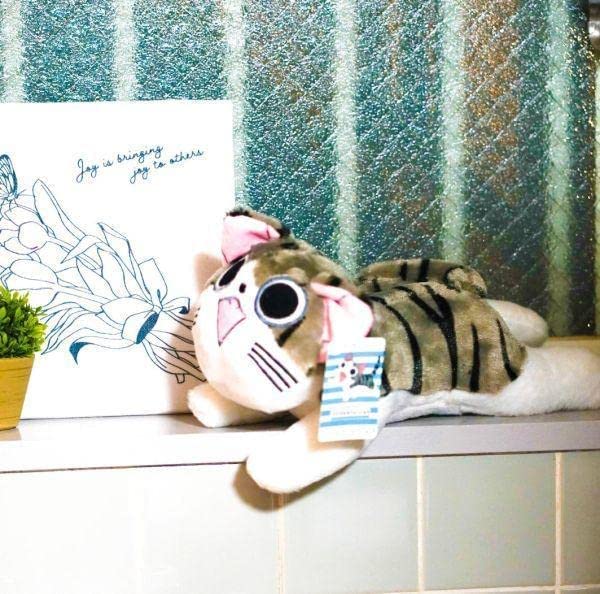 Sýr Sladký Domov Plyšová Hračka Chee Kotě Kočka 30cm