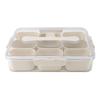 Plastic Seasoning Organizer Box 9 Compartments Sealing Fruit Snack Storage Containers with Clear Lid