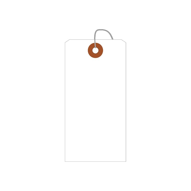 Taka Brand Inventory Tags, 25-3120, Plain White, Medium Size, 200 Pieces
