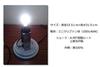 Alpha Takaba Disney Desk Light Desk Lamp Finding Nemo Finding Dory Pixar Nemo Goods Lighting
