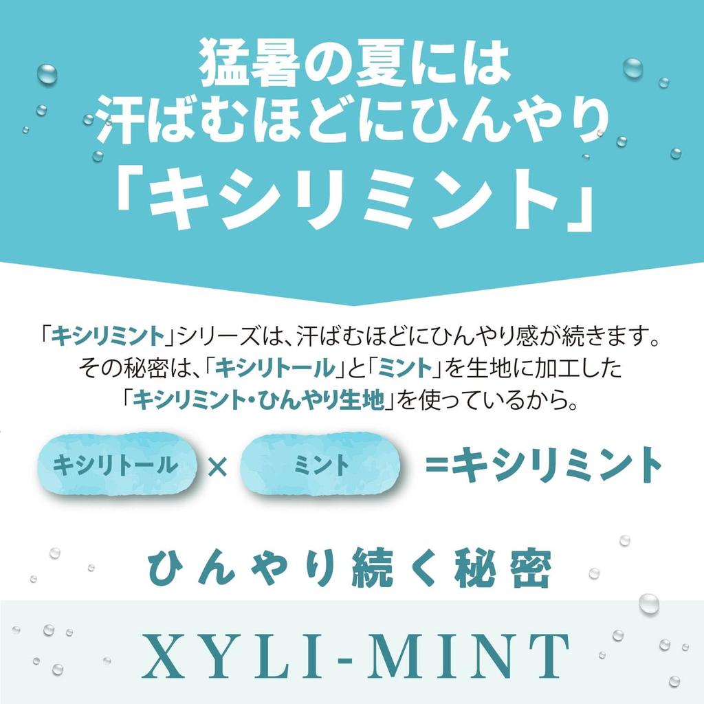 Carelance Xylimint Fingertip Arm Covers UV UPF Cool the More You Long Sleeve Arm Cool to the UV Sun Sand Mountain Socks 2285ca (Fingertip Type)