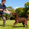 Heavy Type Jutes Chewing Stick For Large Breeds Dogs Tear Resistant Dog Toy Cleaning Texture Outdoor Training Essential