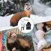 Frettchen Kleidung Verstellbarer Pullover Hoodie Kostüm Frettchen Kostüm Und Leinen Set Für Hamster Chinchilla Kaninchen Welpen Kätzchen