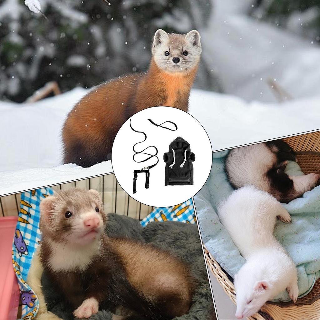 Frettchen Kleidung Verstellbarer Pullover Hoodie Kostüm Frettchen Kostüm Und Leinen Set Für Hamster Chinchilla Kaninchen Welpen Kätzchen