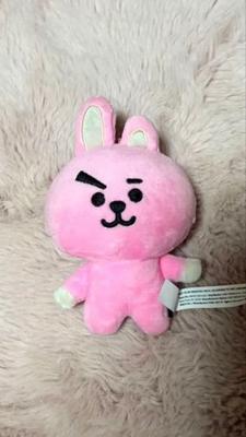 [USED] BT21 Cookie Plush Keychain