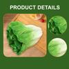Artificial Vegetable Fake Veggie Model Display PU Realistic Decorative Lifelike Faux for