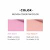 Hanskin Blemish Cover Concealer 12g Color Correcting Concealer
