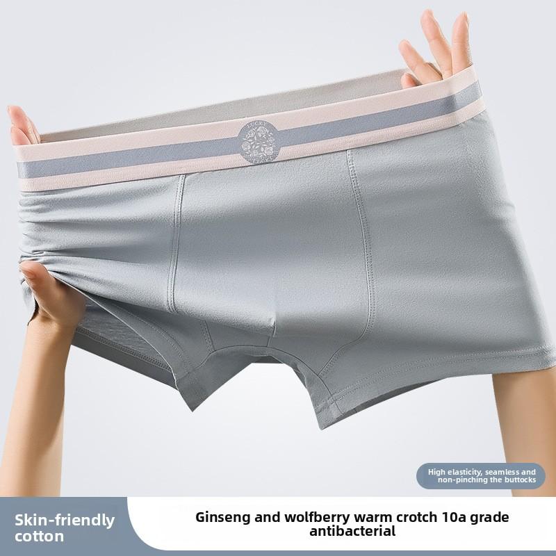 Plus Size Men's New Summer Cotton Anti Bacterial Breathable Sport Boxer Briefs