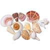 Handmade Seashell & Starfish DIY Photo Frame and Fish Tank Decoration