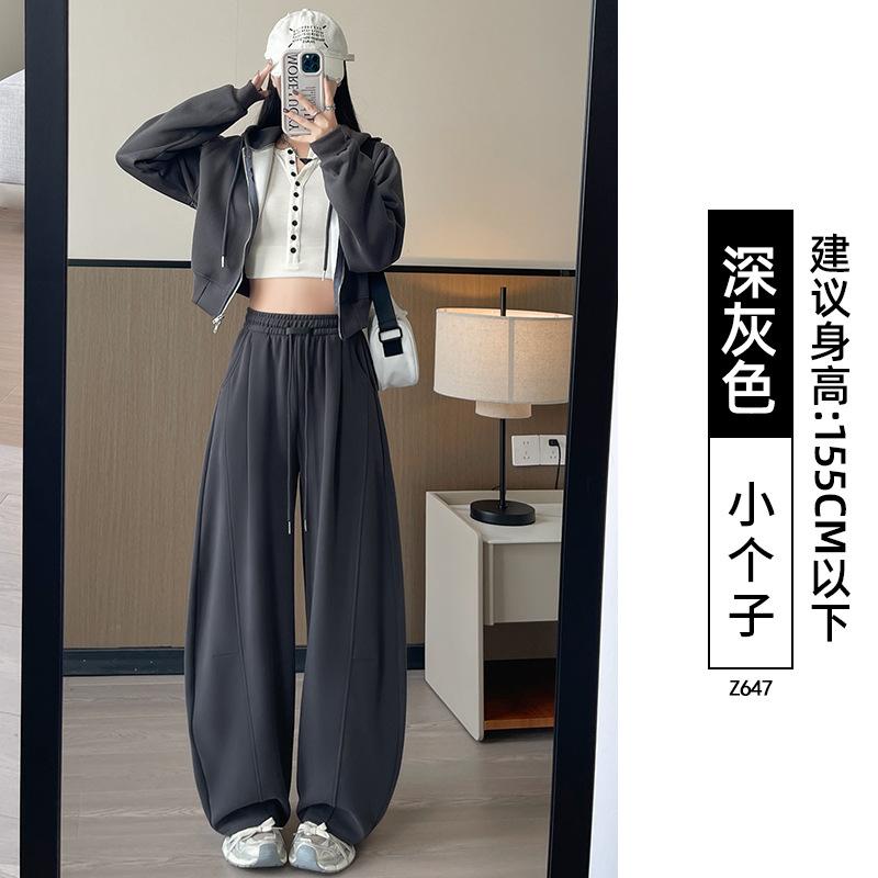 Gray Scimitar Wide-legged Women's New Spring and Autumn Small Lazy Loose Drape Casual Straight Sweatpants