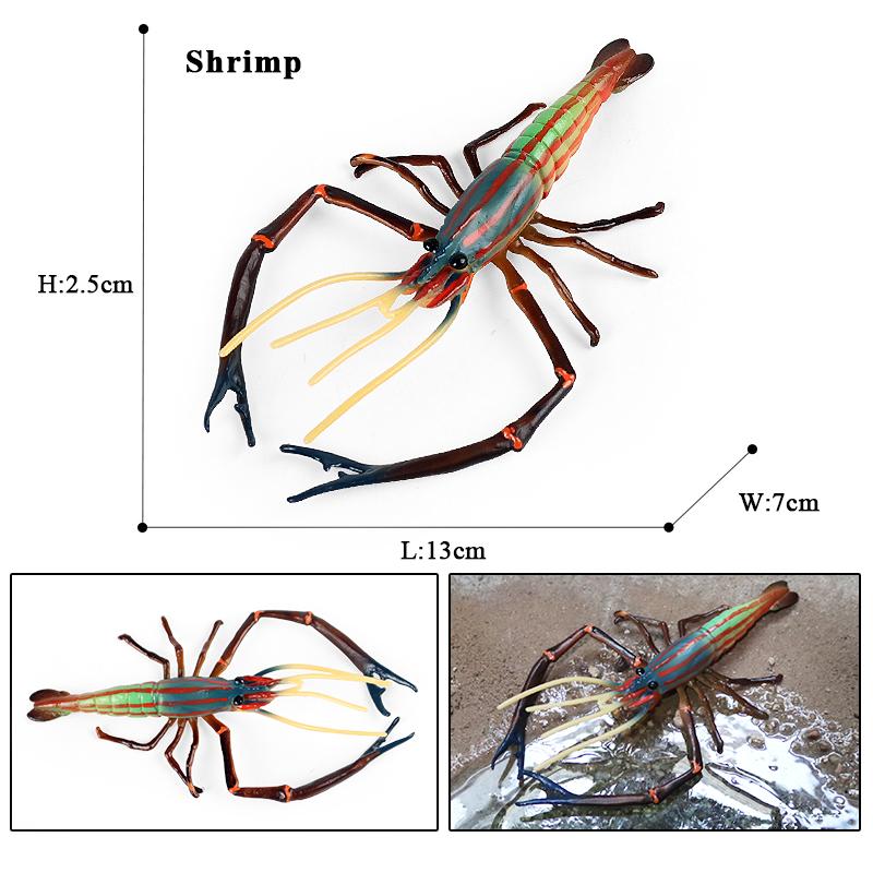 Oenux Sea Life Animals Coral Octopus Nautiloidea Crab Starfish Ocean Model Action Figures Educational Collection Toy Kid Gift