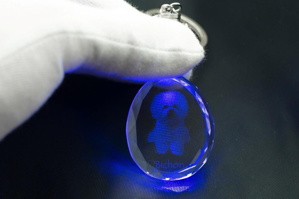 Bichon Frise, Bichon Tenerife, Bichon a Poil Frise - Pendant with a Photo of a Dog, Crystal Key Ring In a Gift Box, a Unique Gift by Art-Dog