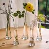 Hánwèi Decorative Glass Vases & Hydroponic Planters