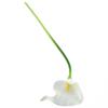 Photography Artificial Flower Washable Xmas Decoration 10pcs Indoor Outdoor
