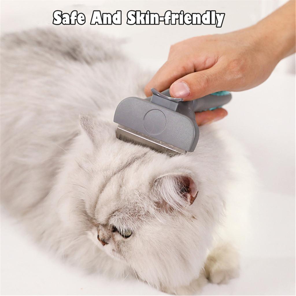 margot dog toothbrush