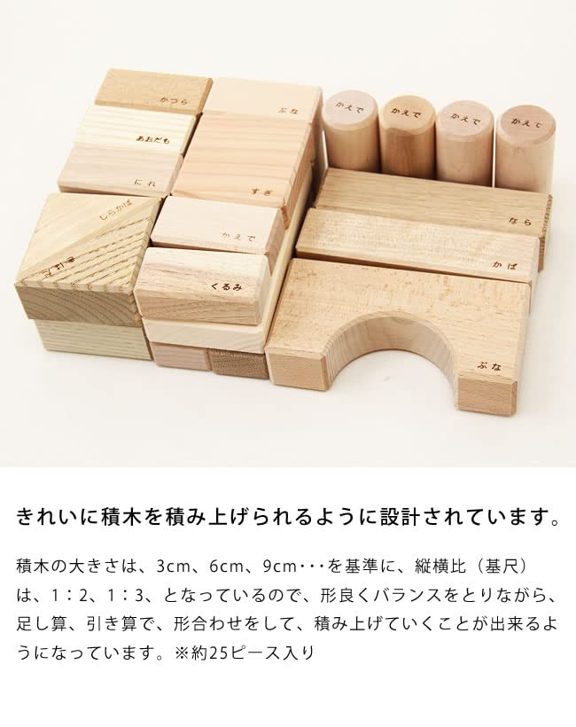 Ekby Byggklossar Set tyg Tillverkad i Pedagogisk Trä 1 År (med väska), Trä, Japan, Leksak, Barn, Leksak,