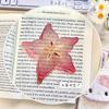 Ins Fruit Slice Bookmark Simulation Apple Lemom Cute Bookmark Reading Book Page Holder Student Gift Book Page Tag School Supplie