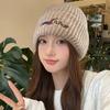 Ins Cute Puppy Knitted Hat for Women Autumn and Winter Students Cold Protection and Warm Versatile Wool Hat Couple Pullover Hat