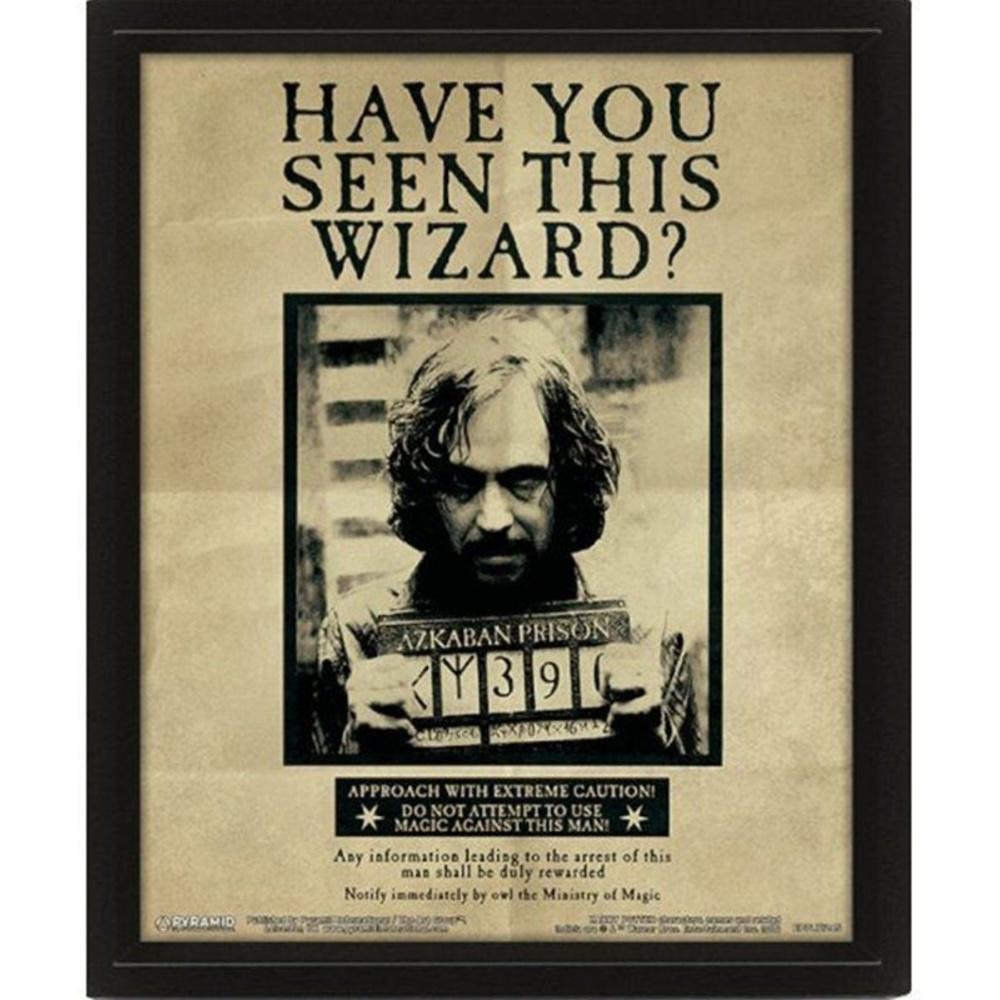 HARRY POTTER 3D Framed Poster