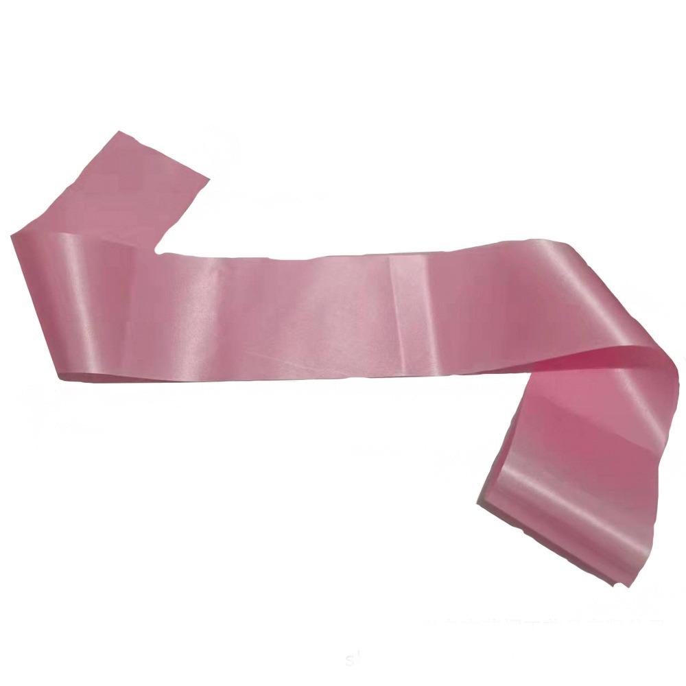NEW Personalized Birthday Party Sash Decorations DIY Blank Sash Prom Queen Sash Bachelorette Party