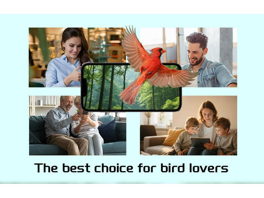 AI Smart Bird Feeder with Camera & Solar Panel