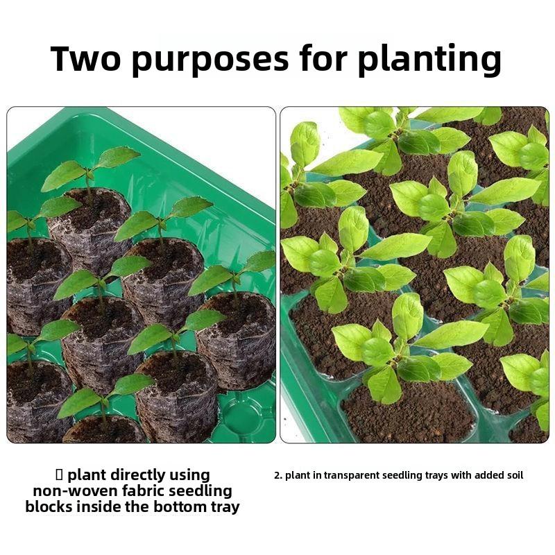 Large-sized seedling box, high cover germination box, planting and cultivation box, flower pot ventilation hole, seedling high cover