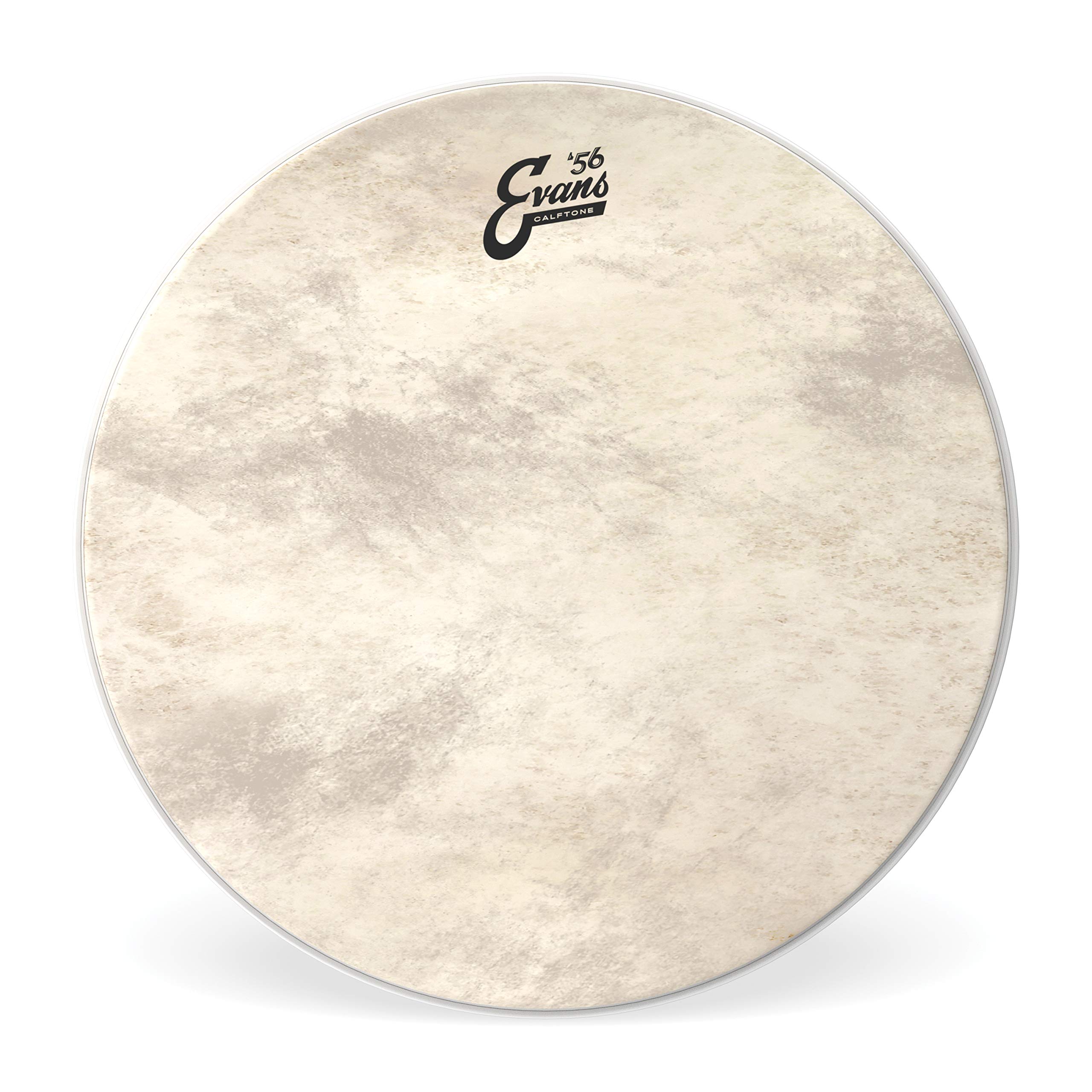 

EVANS Evans drum head Calftone Tom Hoop TT16CT 16 inch