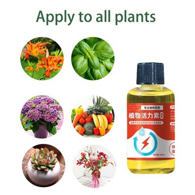 Pflanzennährlösung 50ml Flüssigdünger Fördert Wurzelwachstum Vermehrung Pflanze Blütebooster für Wasser- und Bodenvermehrung Blumen Obstpflanzen