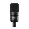 AUDIX A133 Large-Diaphragm Condenser Microphone (Black)