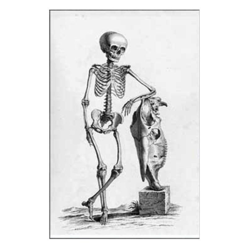 Schwarz-Weiß-Skelett-Poster Bild Leinwandkunst Wanddekor Gemälde Moderner Nordischer Stil Minimalismus Totenkopf-Malerei Ohne Rahmen