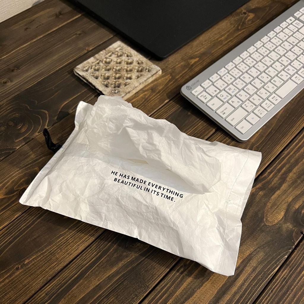 Lightweight Tissue Case/Cover, Hanging, Camping, Tyvek, Stylish Paper Towel Case (White)