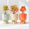 Desktop Decorative Bouquet Bow Vase Nordic Style Table Ornament Flower Vase  Living Room